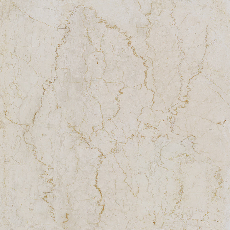 Unicom Marmorea Botticino 24x24 | Porcelain Tile | Tile Alcove