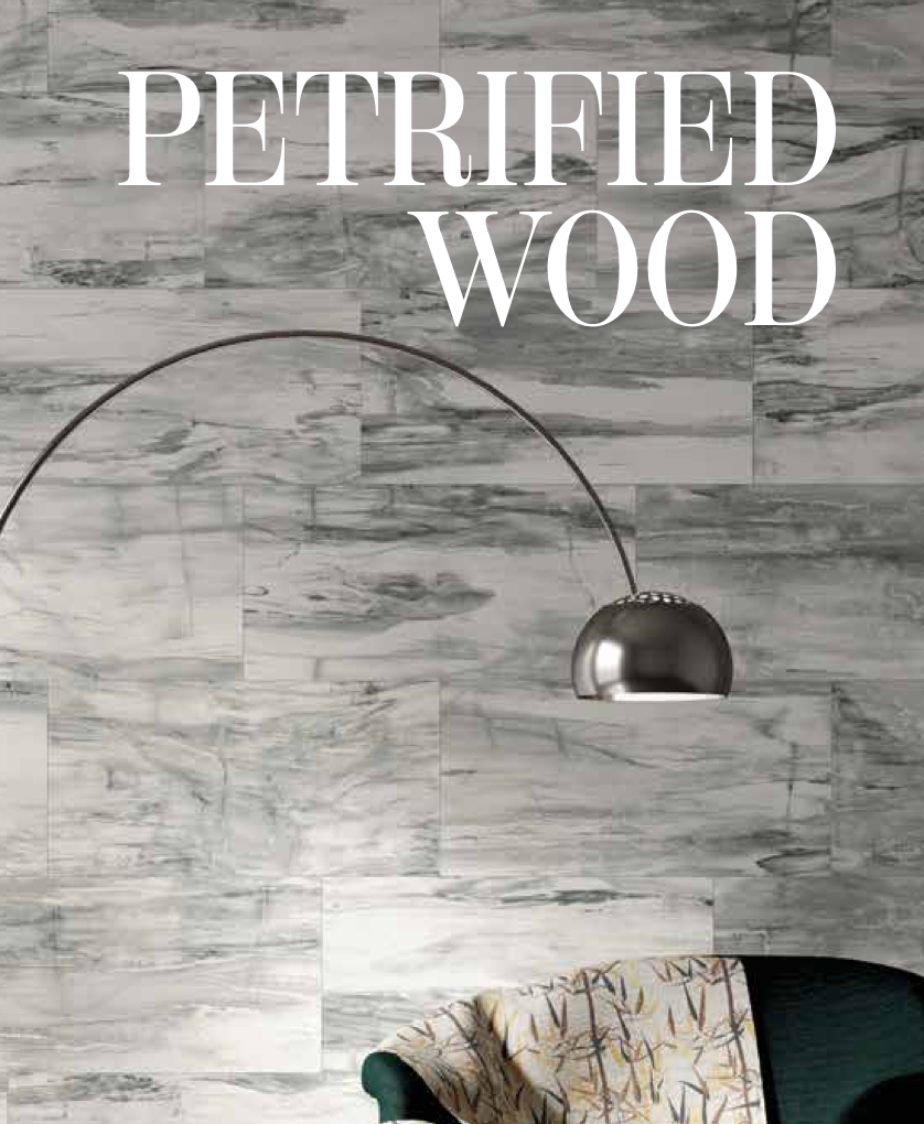 Mariner Petrified Wood