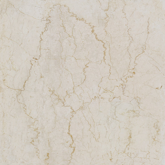 Unicom Marmorea Botticino 24x24 | Porcelain Tile | Tile Alcove