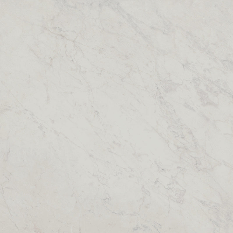 Unicom Marmorea Bianco Carrara 24x24 | Porcelain Tile | Tile Alcove