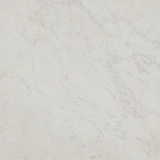 Unicom Marmorea Bianco Carrara 24x24 | Porcelain Tile | Tile Alcove