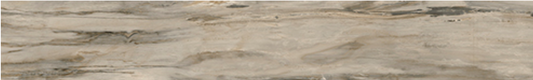 Mariner - 8"x48" Petrified Wood NATURAL Polished Porcelain Tile (Rectified Edges)