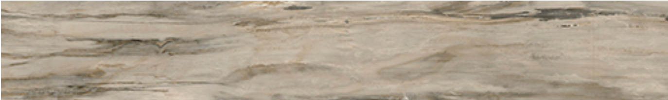 Mariner - 8"x48" Petrified Wood NATURAL Matte Porcelain Tile (Rectified Edges)