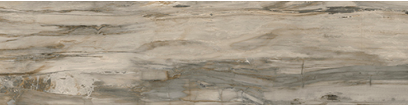 Mariner - 4"x12" Petrified Wood NATURAL Polished Porcelain Tile (Rectified Edges)