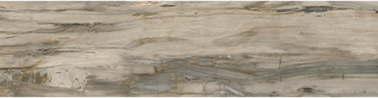 Mariner - 4"x12" Petrified Wood NATURAL Polished Porcelain Tile (Rectified Edges)