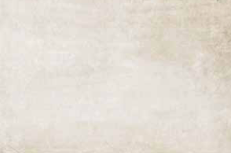 Gazzini Opus Stone 16"x24" Avorio Porcelain Tile | The Tile Alcove